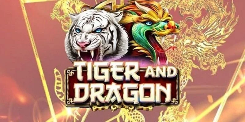 Tổng quan về long hổ
